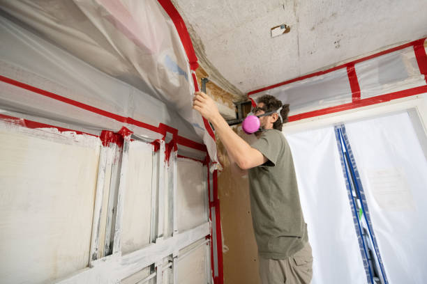 Best Real Estate Mold Inspection  in Sun Valley, NV