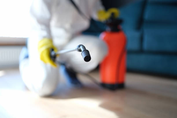 Best Comprehensive Air Testing for Mold Contaminants  in Sun Valley, NV